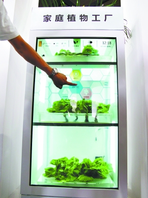 家庭植物工厂.