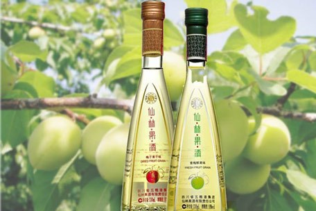 五粮液仙林果酒代表队获创新奖
